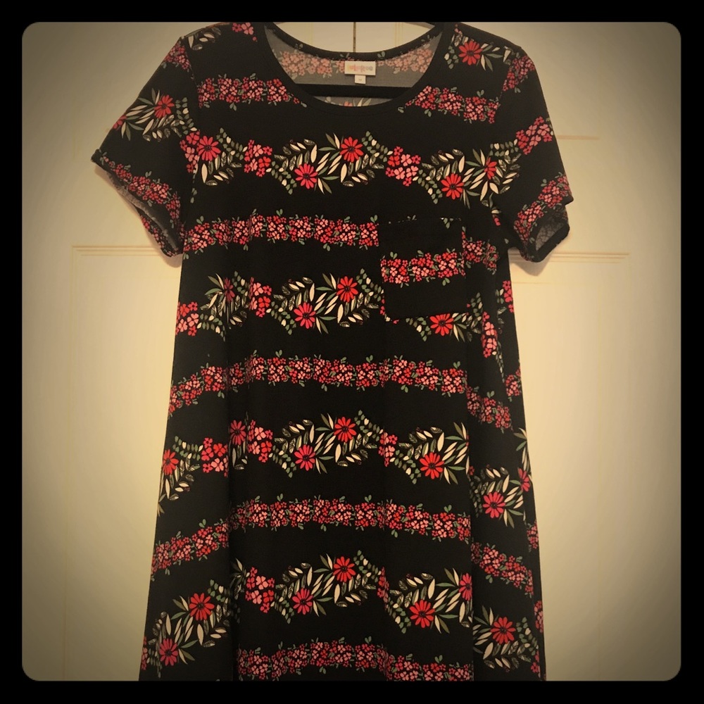 Beautiful LuLaRoe Carly Dress